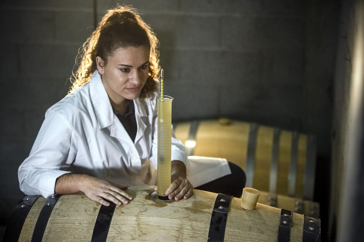 Quinta de Santa Cristina - Enólogo por 1 Dia – Celorico de Basto, Vinhos Verdes