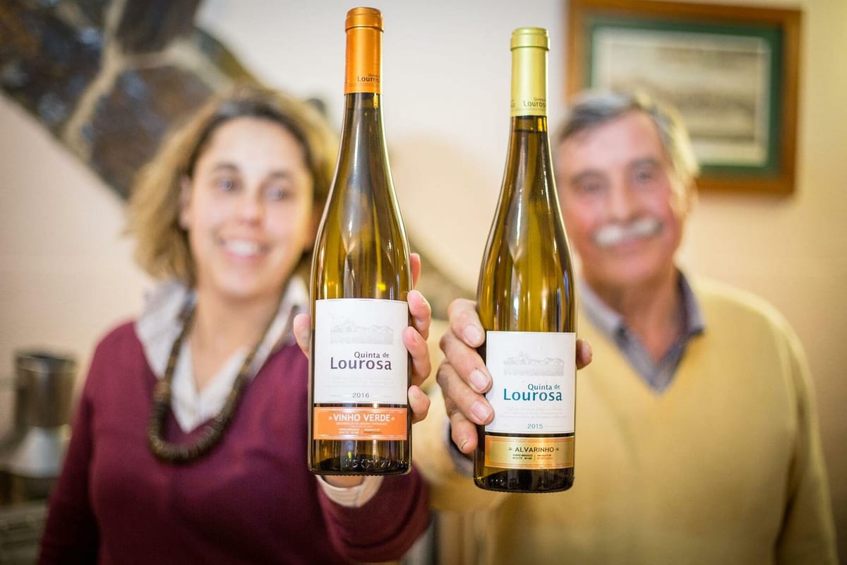 Quinta de Lourosa - Winemaker for a Day – Lousada, Vinhos Verdes