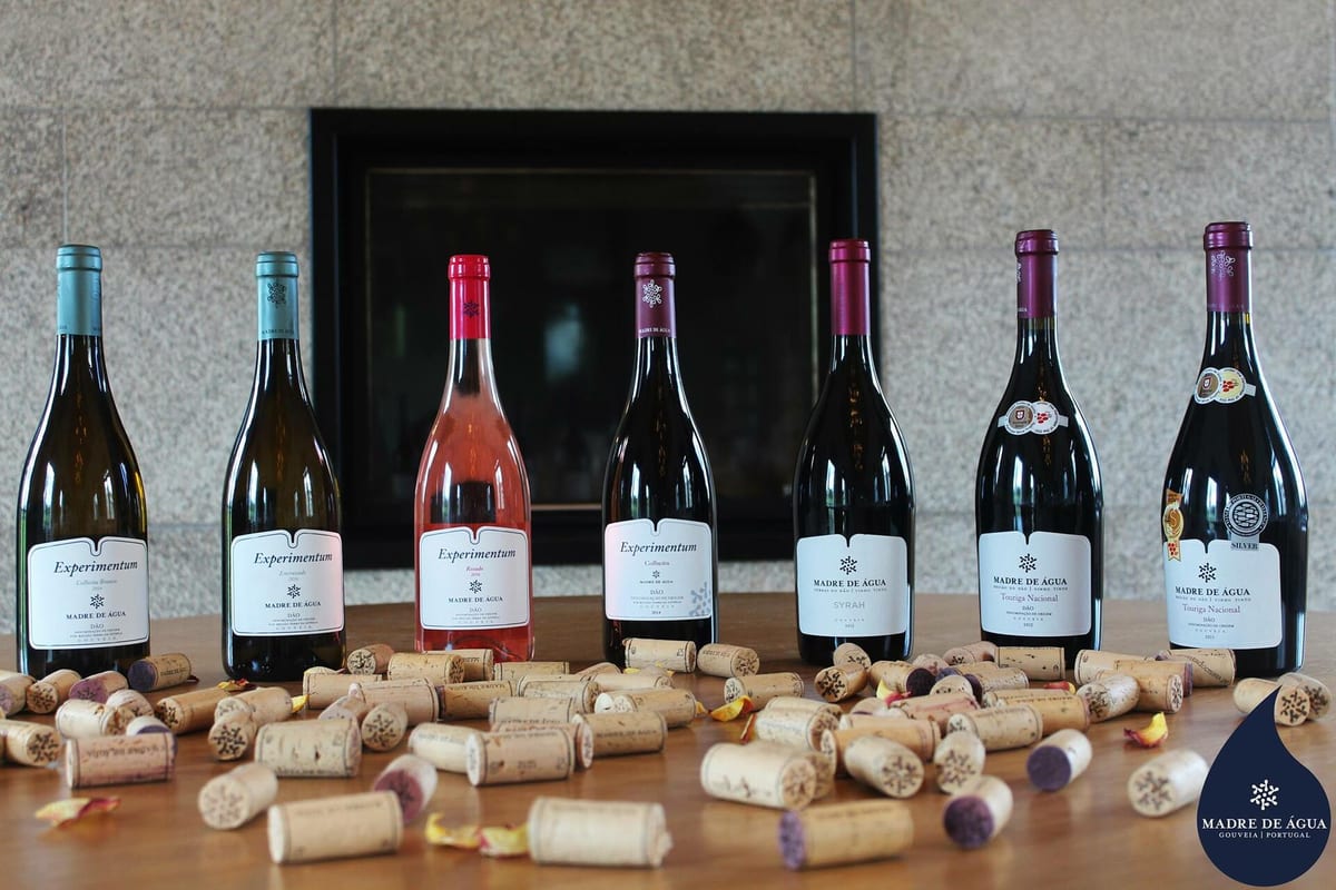 Quinta Madre de Água - Queijos & Vinhos – Gouveia, Dão & Lafões