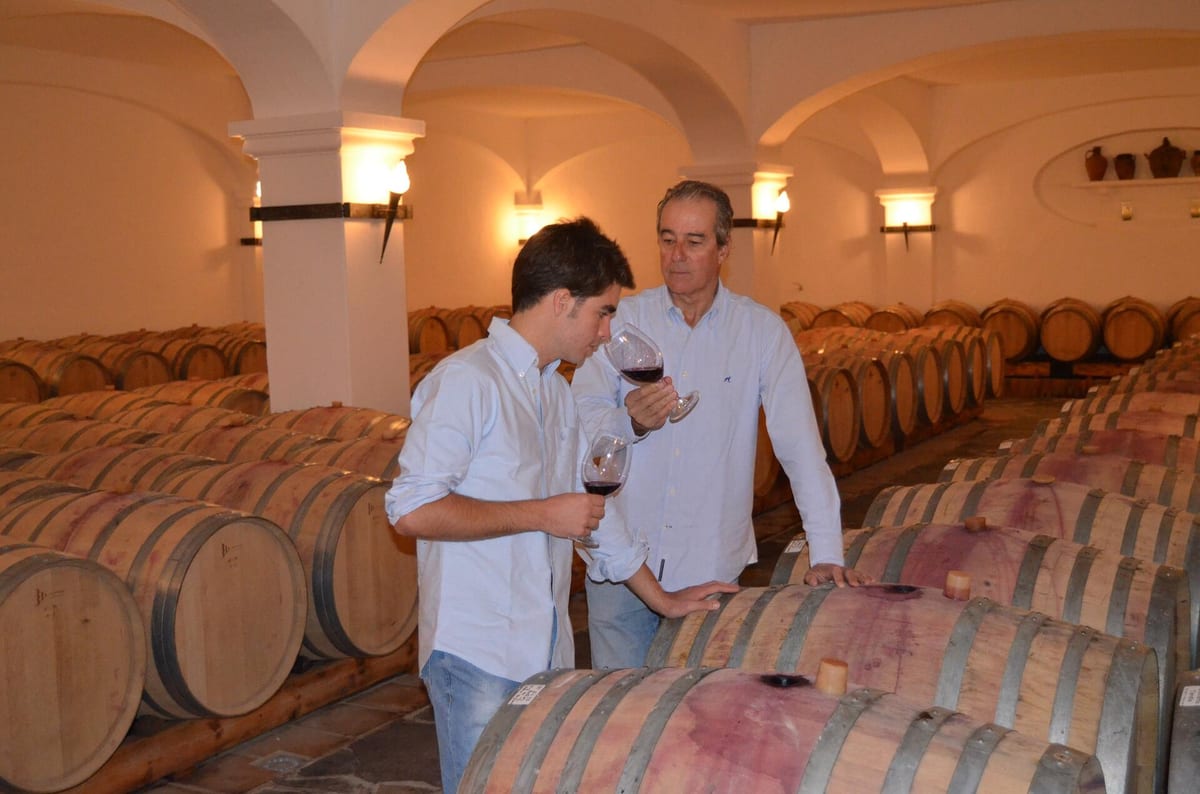 João Portugal Ramos - Winemaker For a Day – Estremoz, Alentejo
