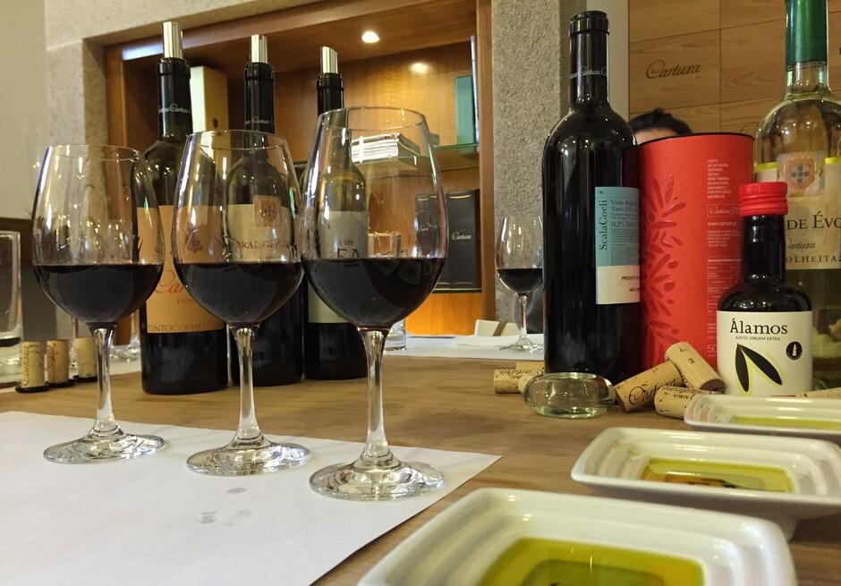 Wine Tour Évora & Alentejo - Private – Lisboa, Alentejo