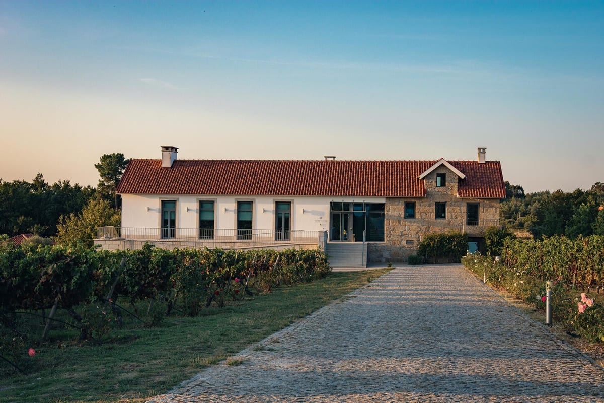 Quinta Madre de Água - Wine Tasting – Gouveia, Dão & Lafões