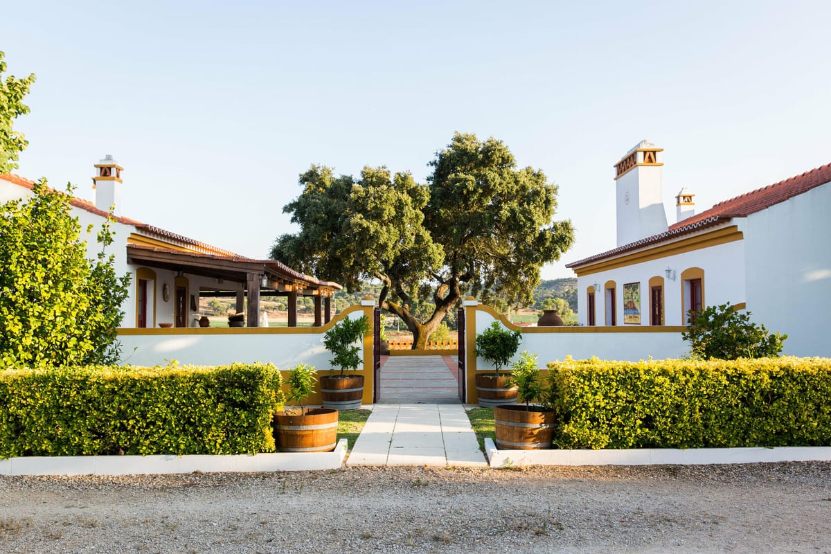 Monte da Raposinha – Visita & Cata de Vinos – Ponte de Sor, Alentejo