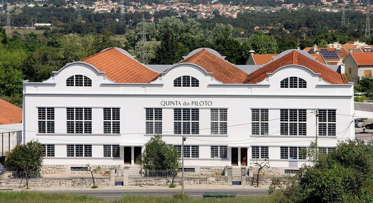 Quinta do Piloto - Discoveries Tasting – Palmela, Península de Setúbal