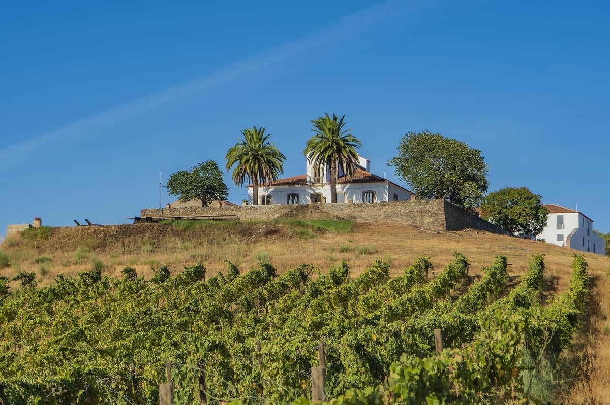 Herdade do Vau - RISO Wine Tasting – Beja, Alentejo