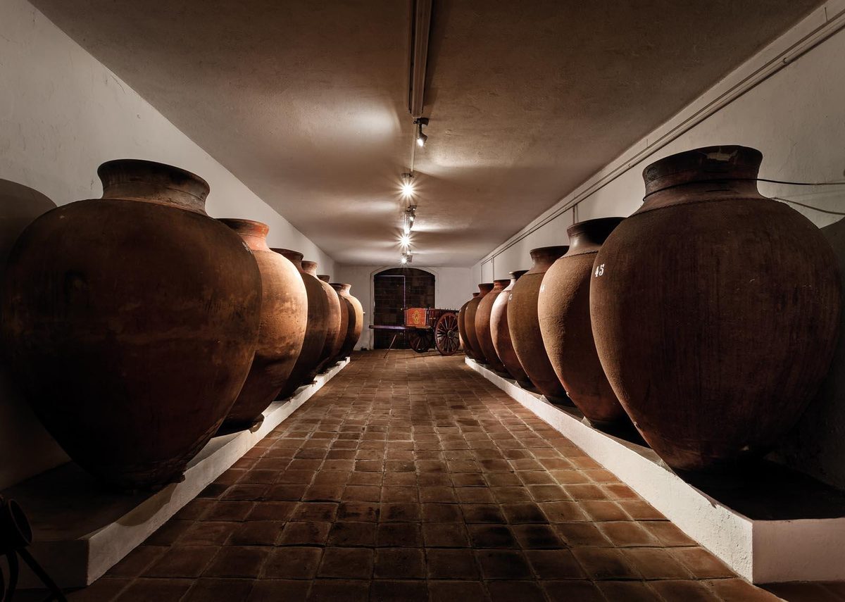 Adega José de Sousa - Dona Julieta Tasting – Reguengos de Monsaraz, Alentejo
