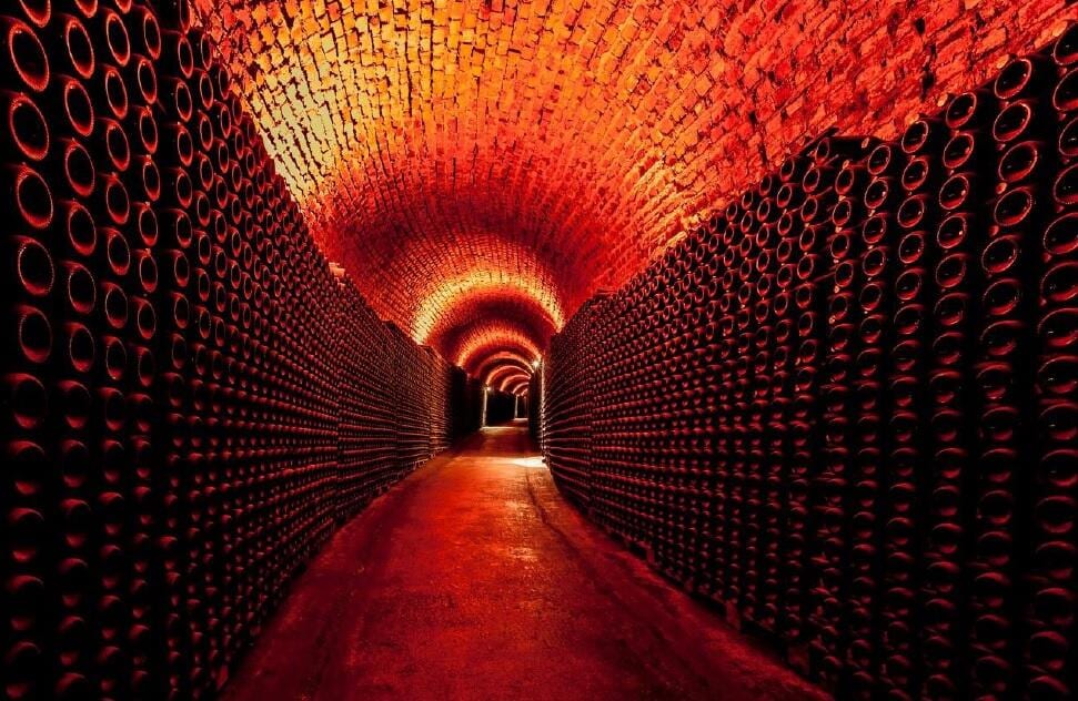Aliança - Visit & “Momento Bairrada” Tasting – Anadia, Bairrada