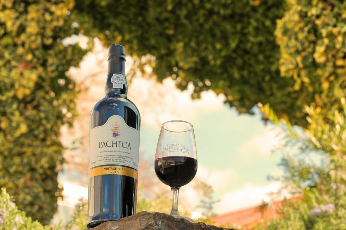 Quinta da Pacheca – Tour & Wine Tasting – Lamego, Douro