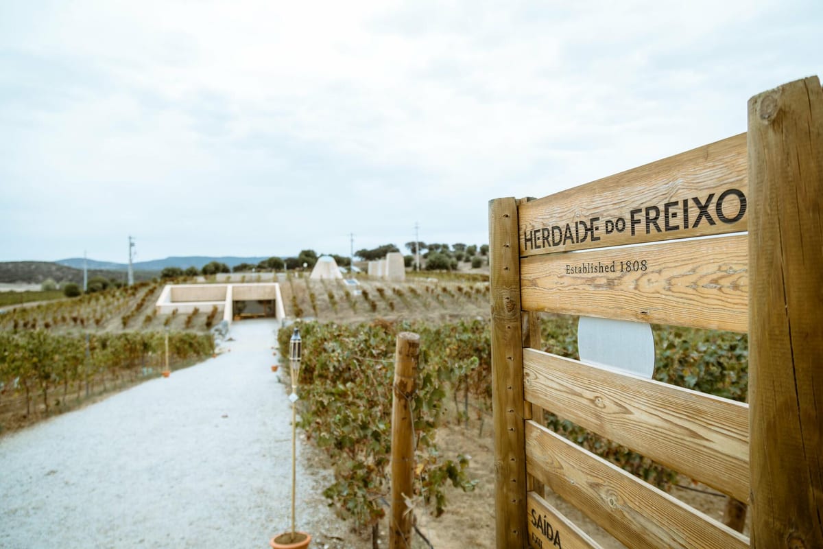 Herdade do Freixo – Tour & Premium Wine Tasting – Redondo, Alentejo