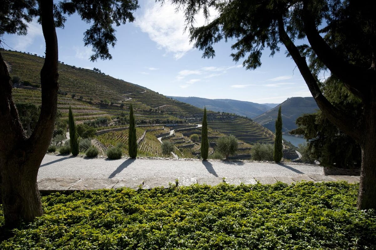 Quinta do Seixo – Douro DOC Premium Tour – Tabuaço, Douro