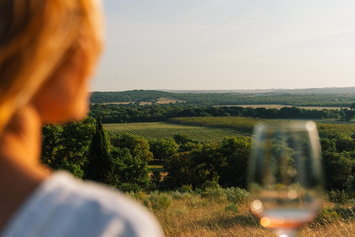 Tapada de Coelheiros – Visit & Terroir Tasting – Arraiolos, Alentejo