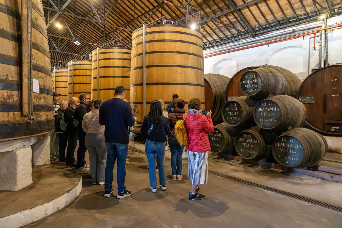 Porto City Tour - Private – Porto, Douro