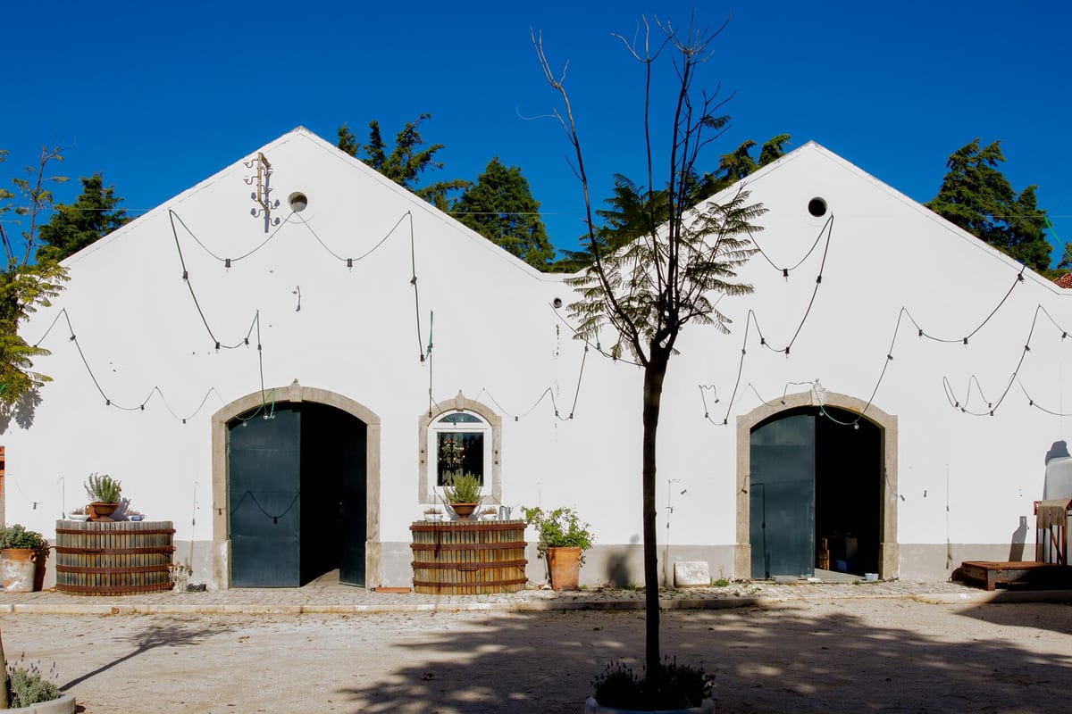 Quinta da Boa Esperança – 6 Wine Tasting – Torres Vedras, Lisbon
