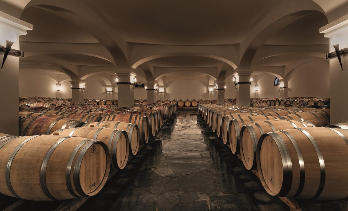 João Portugal Ramos - Tasting Marquês de Borba – Estremoz, Alentejo