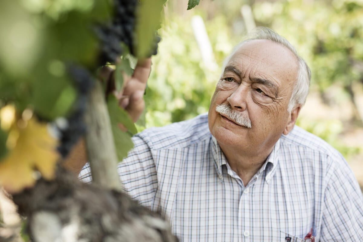 Luís Pato - Tour & Wine Tasting – Anadia, Bairrada