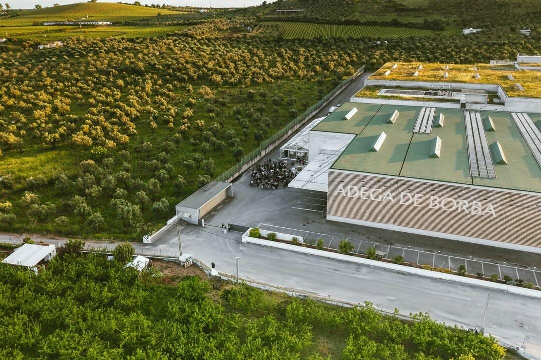 Adega de Borba - Tour & Premium Tasting – Borba, Alentejo