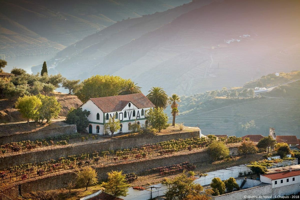 Quinta do Noval – Tour & Signature Tasting – Alijó, Douro