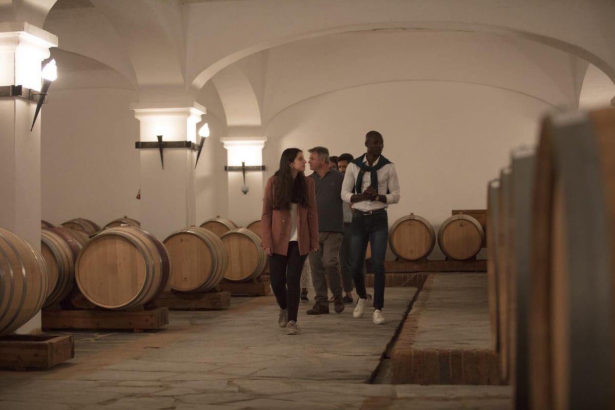 João Portugal Ramos – Premium Tasting – Estremoz, Alentejo