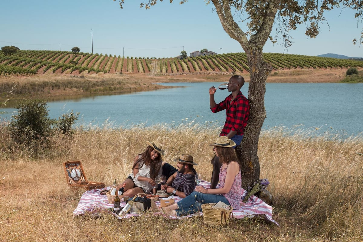 João Portugal Ramos – Picnic in the Vineyards – Estremoz, Alentejo