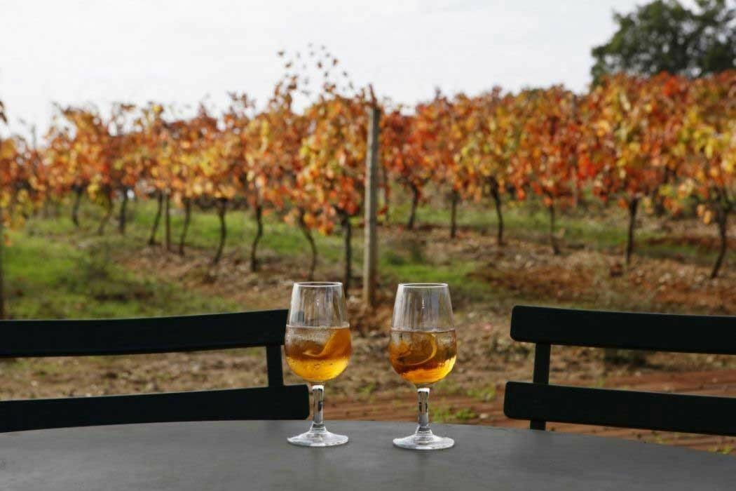 Alquimia do Moscatel de Setúbal – Setúbal, Península de Setúbal