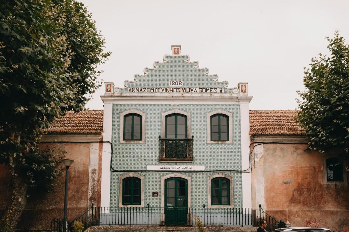 Adega Viúva Gomes – Diogo & Viúva Gomes Tasting – Sintra, Lisbon