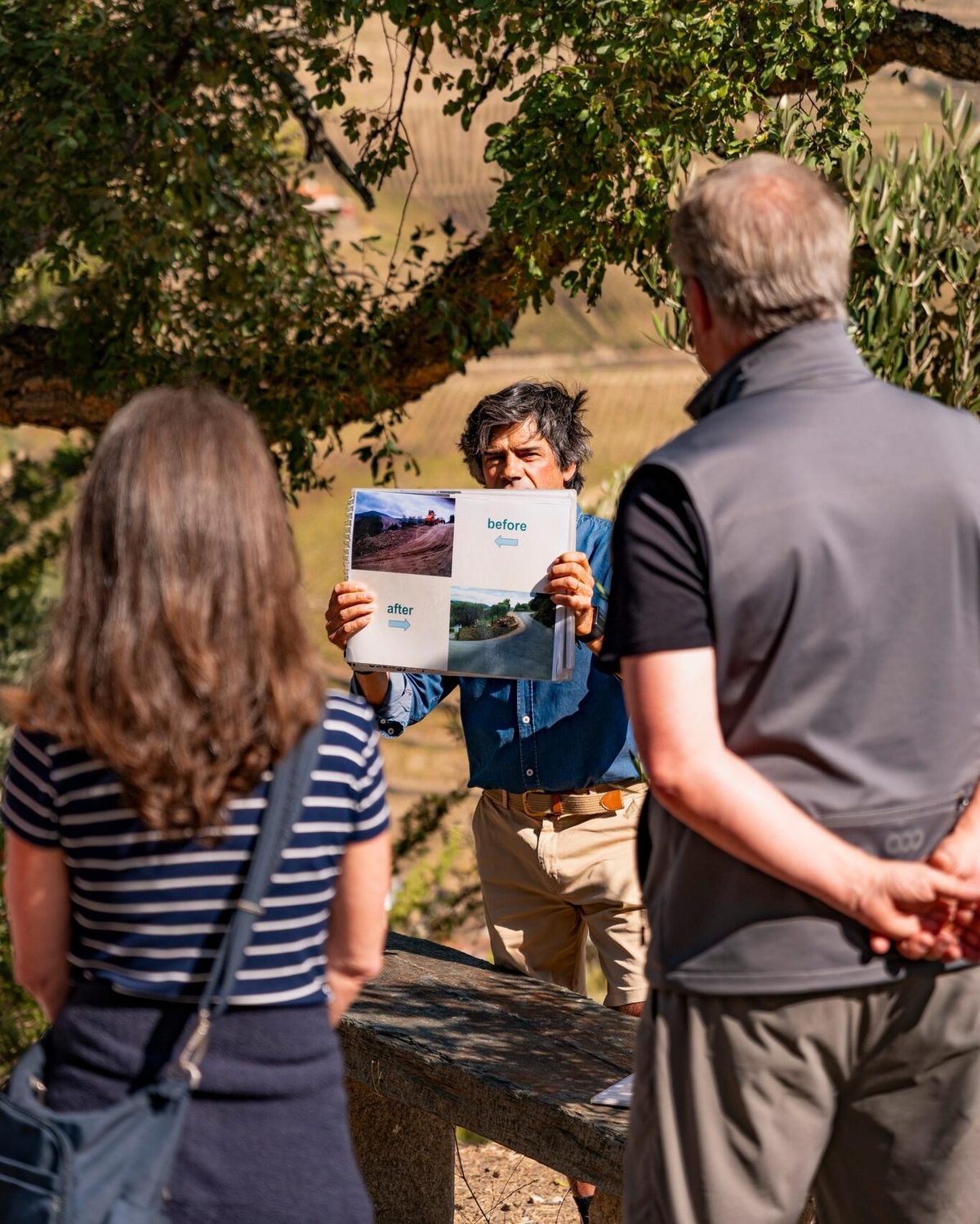 Quinta das Carvalhas - Vintage Tour – Alijó, Douro