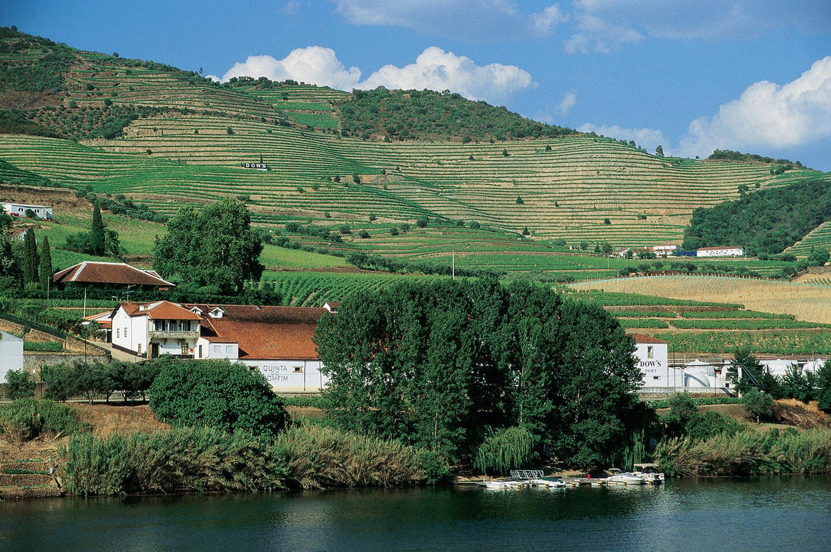 Quinta do Bomfim – Tour & Classic Tasting – Alijó, Douro