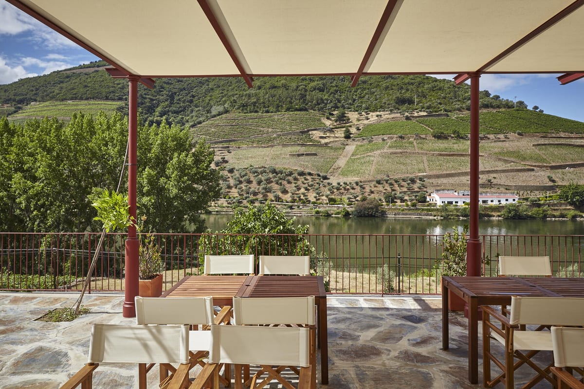 Quinta do Bomfim – The Specialist Tour & Tasting – Alijó, Douro