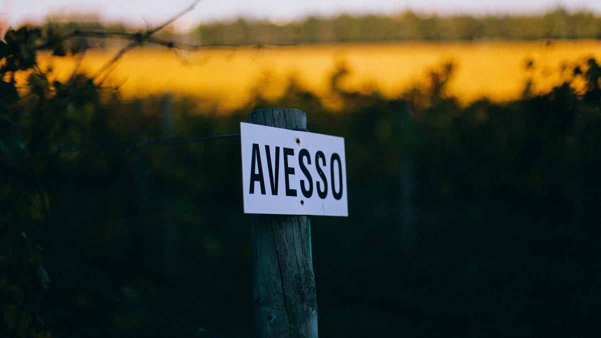 Casa de Vilacetinho – Visita & Prova Avesso – Marco de Canaveses, Vinhos Verdes