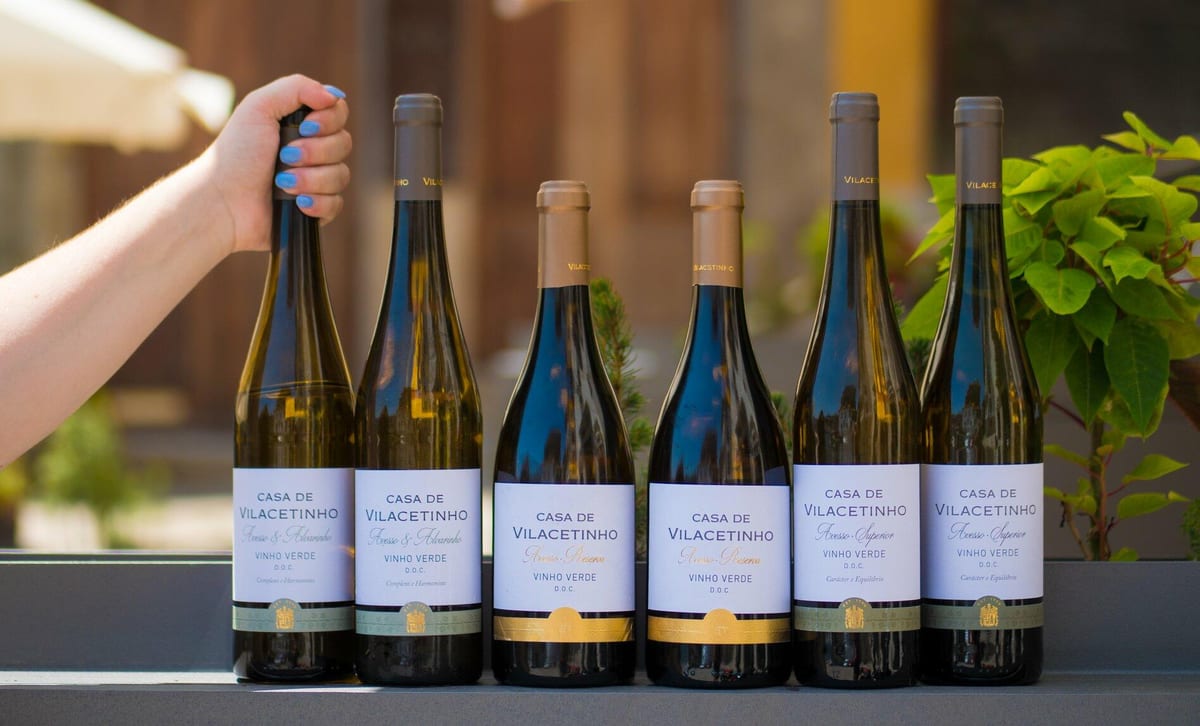 Casa de Vilacetinho – Tour & Complete Tasting – Marco de Canaveses, Vinhos Verdes