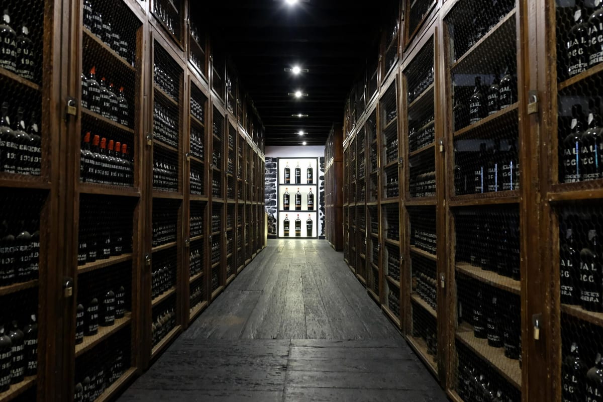 Blandy's Wine Lodge – Premium & Vintage Visit – Funchal, Madeira