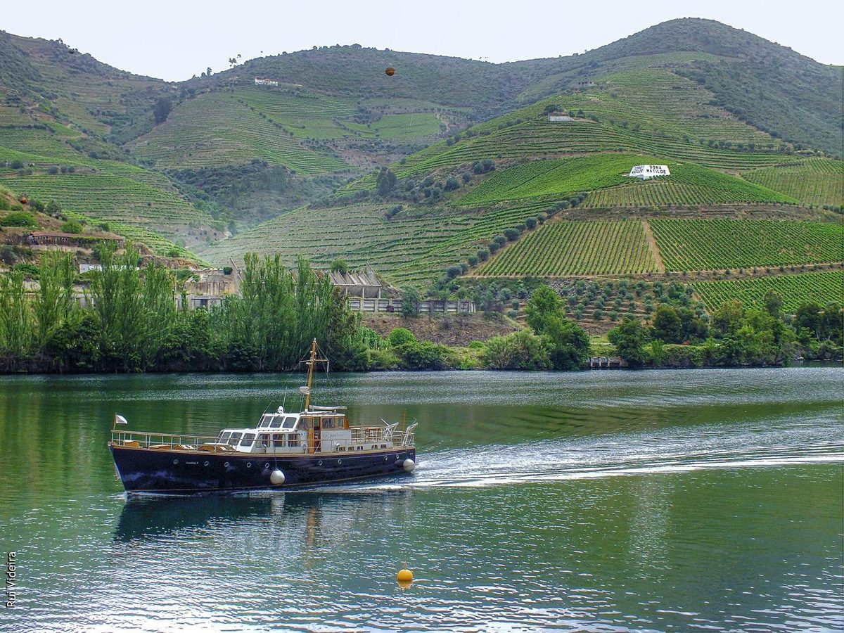 A Day in the Douro – Alijó, Douro
