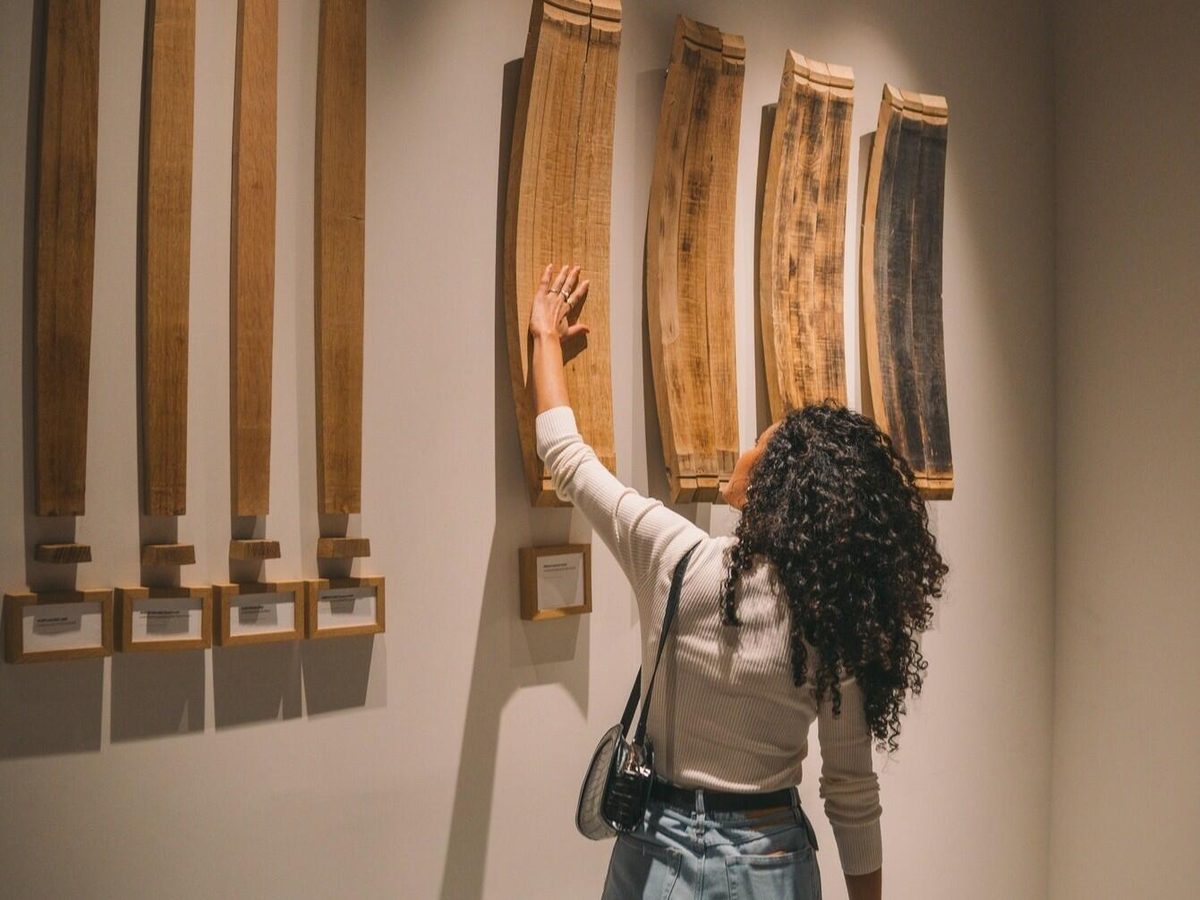 WOW – Visit to “The Wine Experience” Museum – Vila Nova de Gaia, Douro