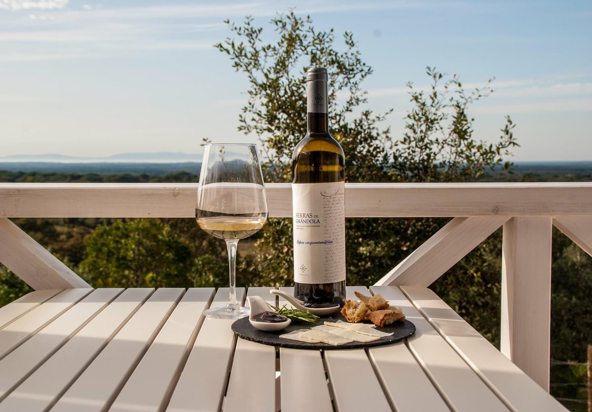 A Serenada - Tasting of 4 Wines – Grândola, Península de Setúbal