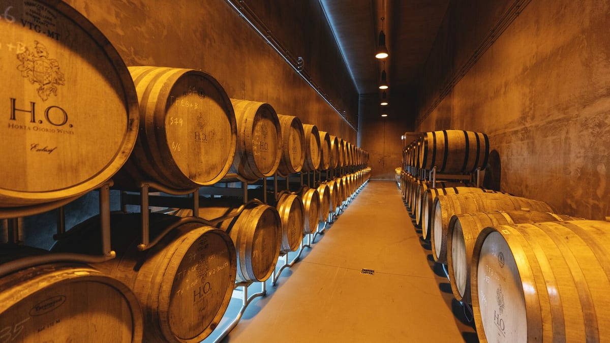 Adega H.O - Tour & Classic Tasting – Santa Marta de Penaguião, Douro