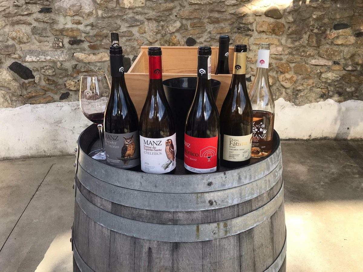 Manzwine - Growing & Learning – Mafra, Lisbon