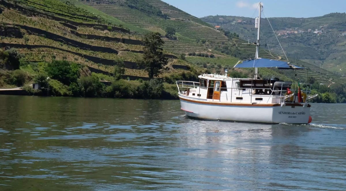 Wine Boat Tour – Sabrosa, Douro