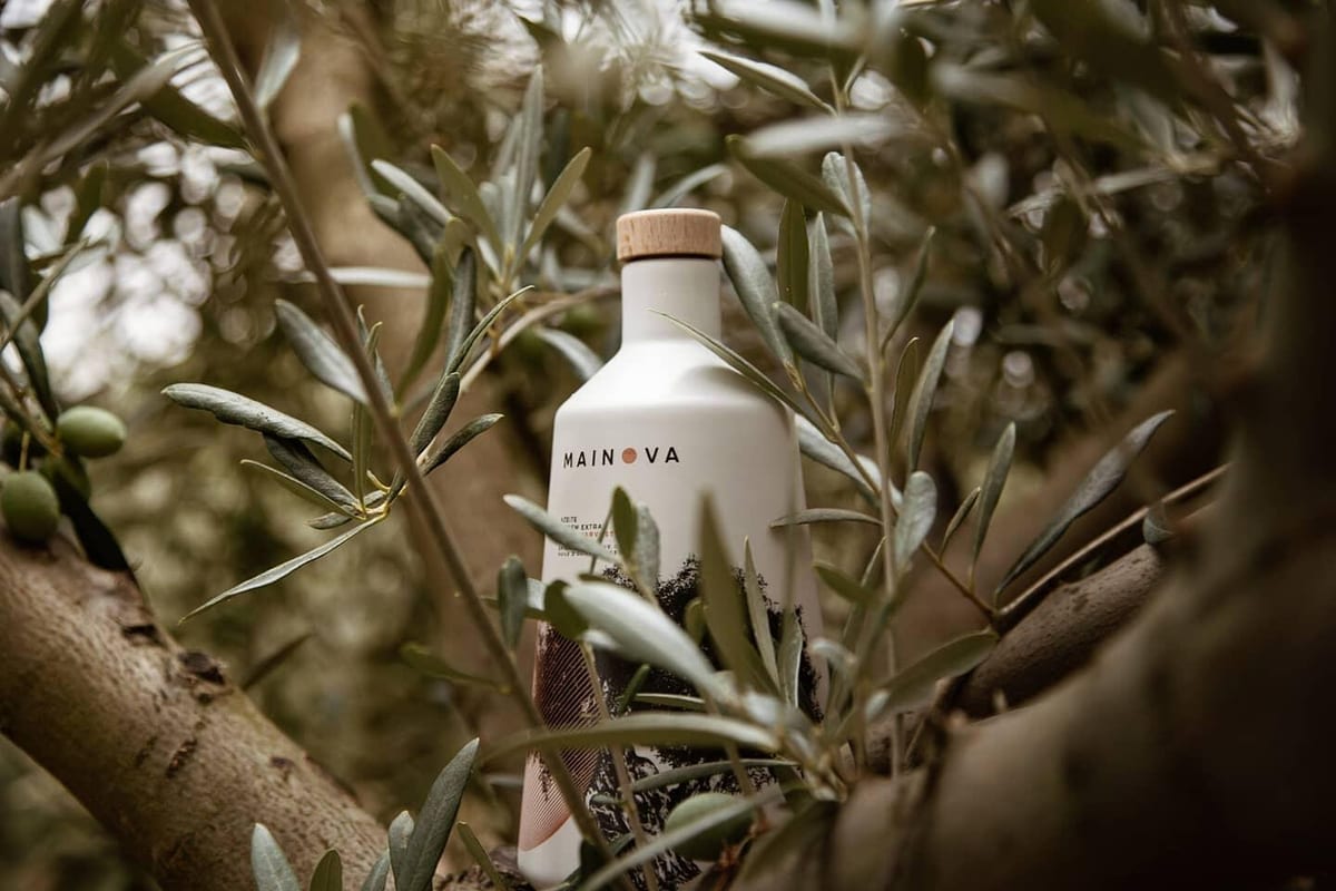MAINOVA - Wine & Olive Oil Tasting – Arraiolos, Alentejo
