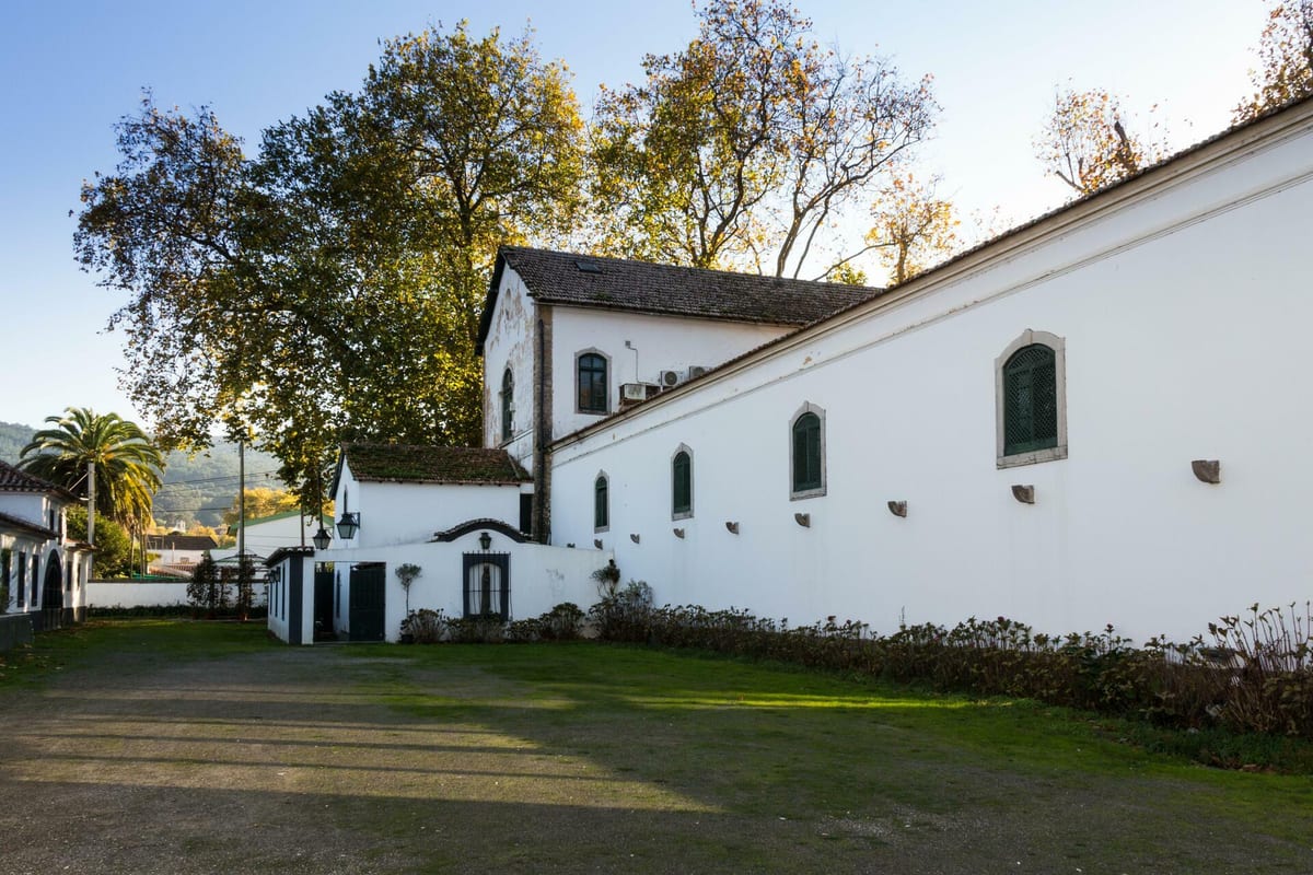 Adega de Colares – Tour & Delux Wine Tasting – Sintra, Lisbon