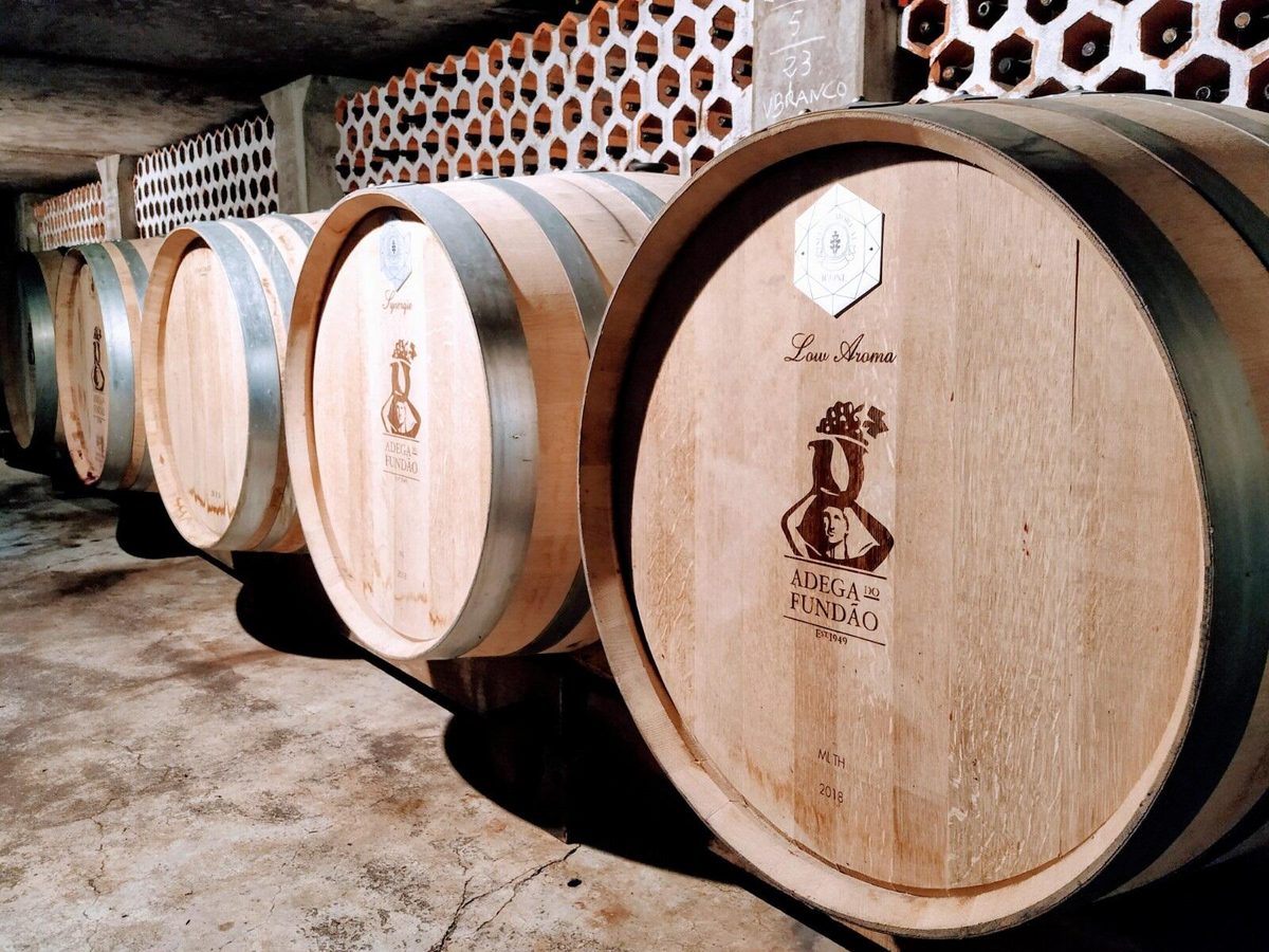 Adega do Fundão - Visit & Tasting of 5 Wines – Fundão, Beira Interior