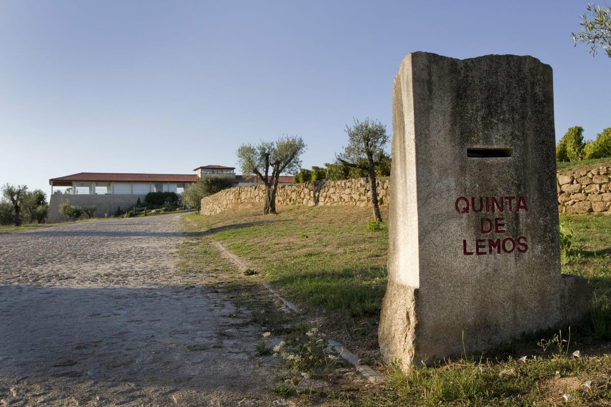 Quinta de Lemos - Visita & Cata de Vinos – Viseu, Dão & Lafões