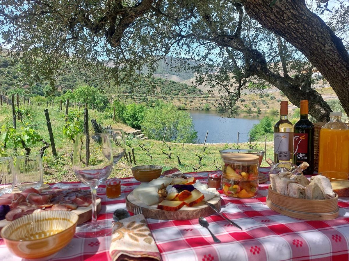 Quinta do Tedo – Tour & Regional Picnic – Armamar, Douro