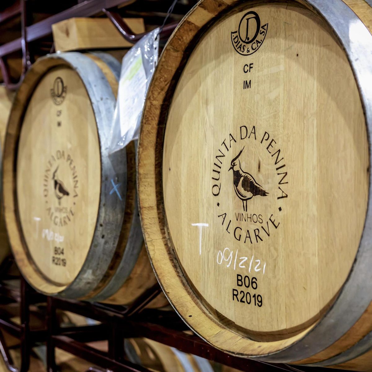 Quinta da Penina – Diamond Wine Tasting – Lagoa (Algarve), Algarve