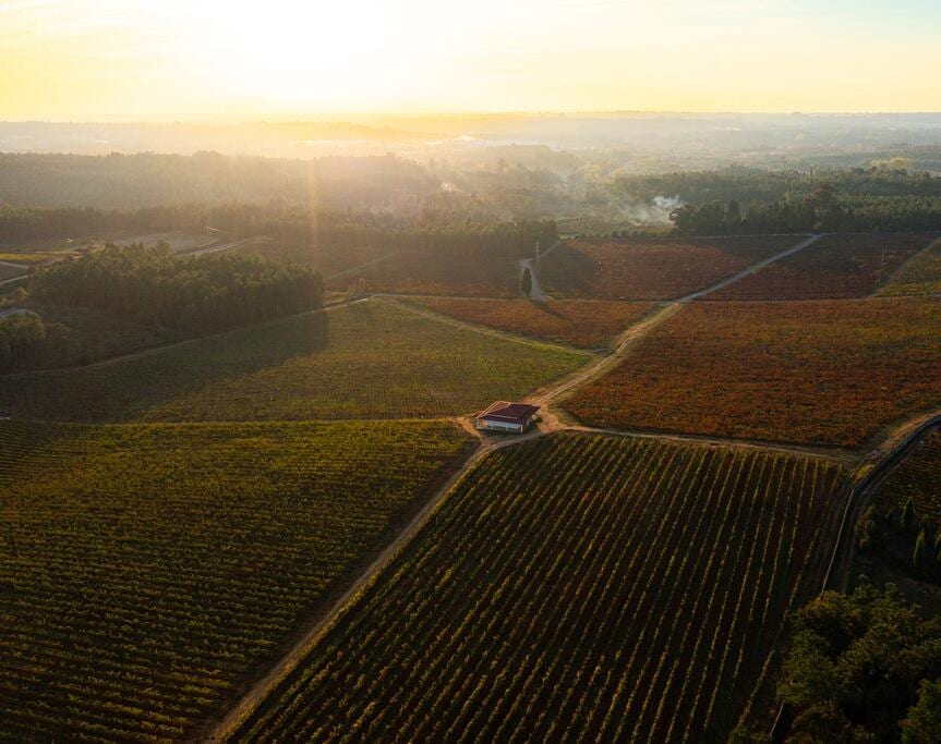 MESSIAS - Messias Bairrada – Mealhada, Bairrada