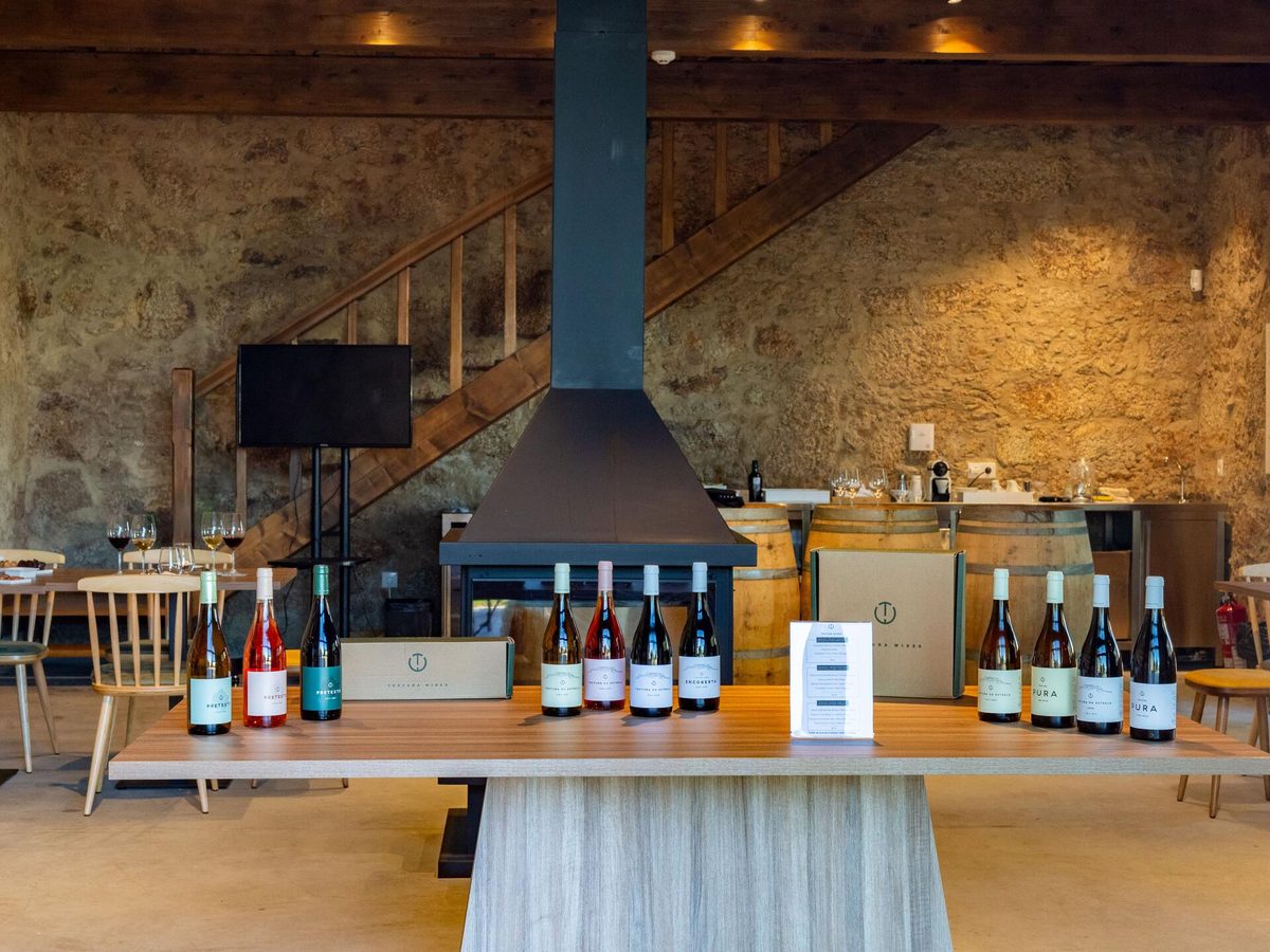 Textura Wines - Tour & Terroir Tasting – Gouveia, Dão & Lafões