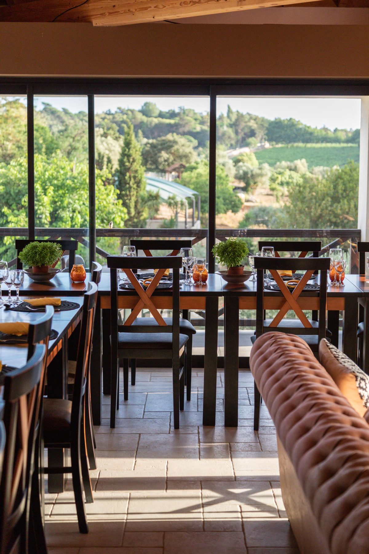Club Picadeiro d'Arrábida - Wine & Olive Oil Tasting – Setúbal, Península de Setúbal