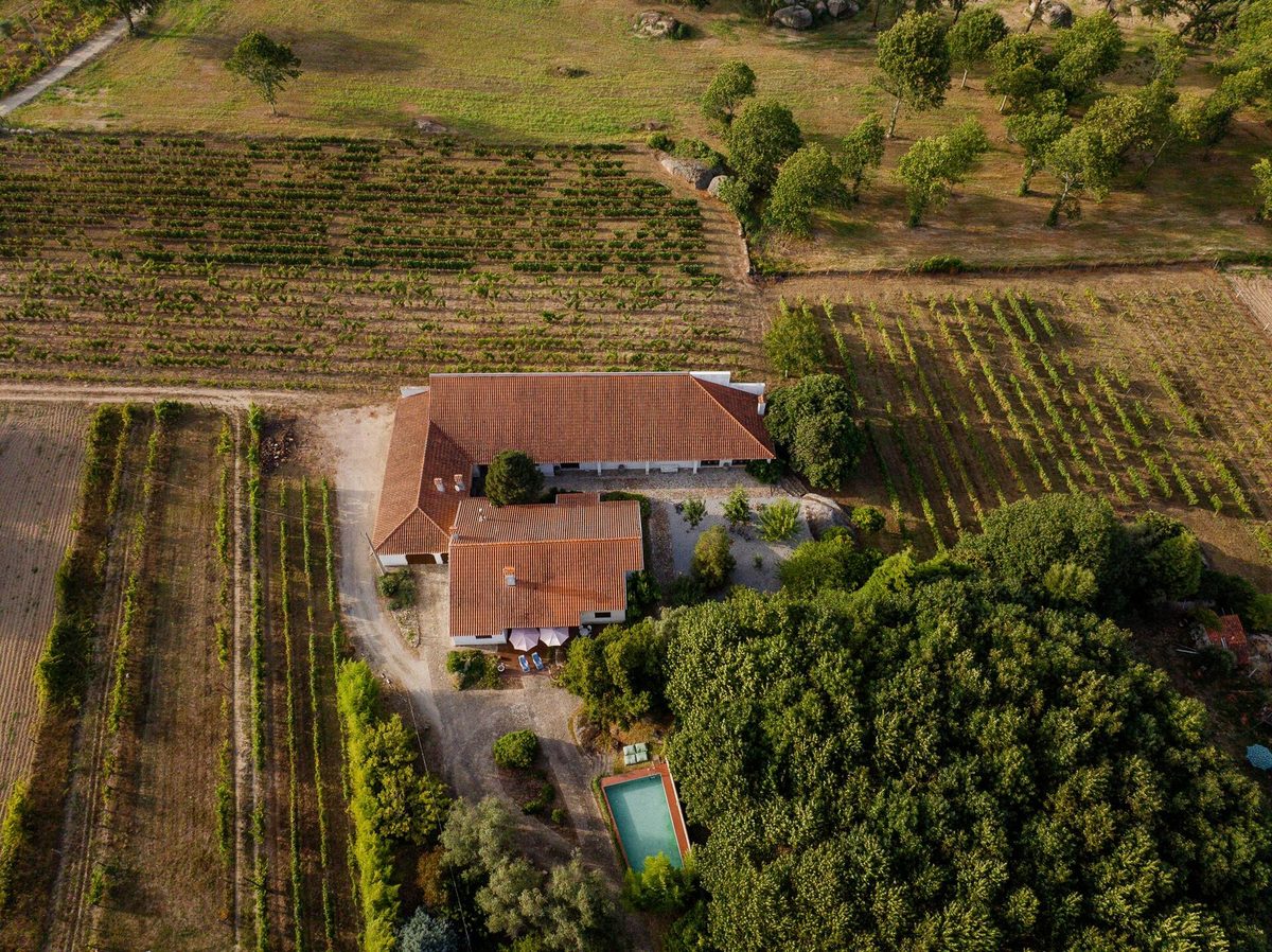 Pereira de Melo Wines - Visit & Elegance Tasting – Santa Comba Dão, Dão & Lafões