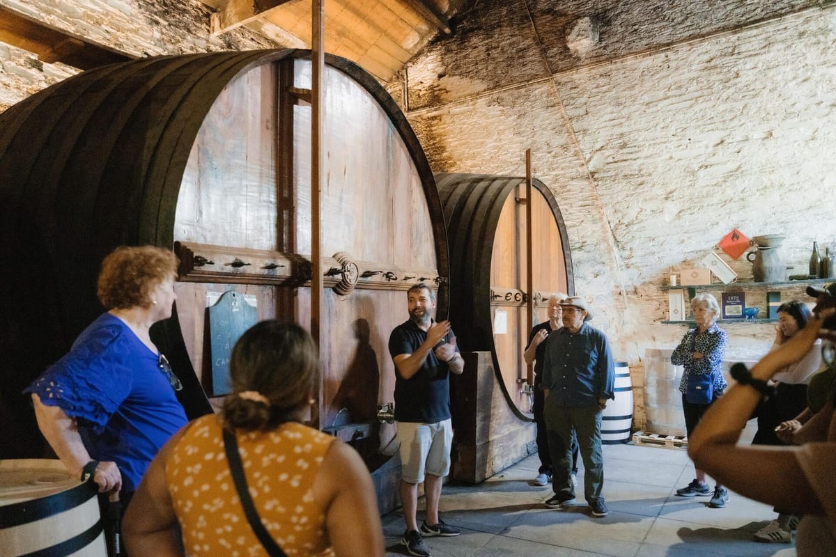 Douro Valley Wine Tour – Wine Venture & Boat Trip – Porto, Douro