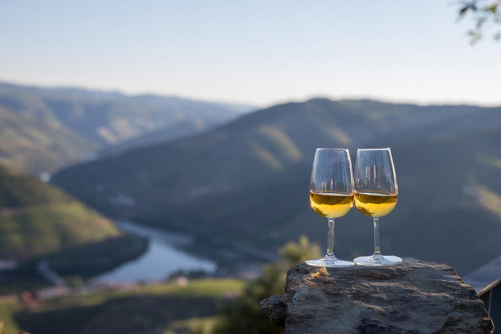 Douro Half-Day Sommelier Tour – Lamego, Douro