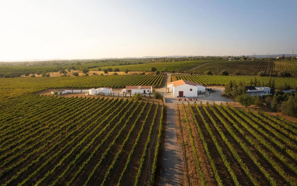 Al-Lagar – Tour & Algarve Tasting – Tavira, Algarve